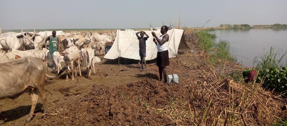 Joint Vaccination Exercise in Jonglei