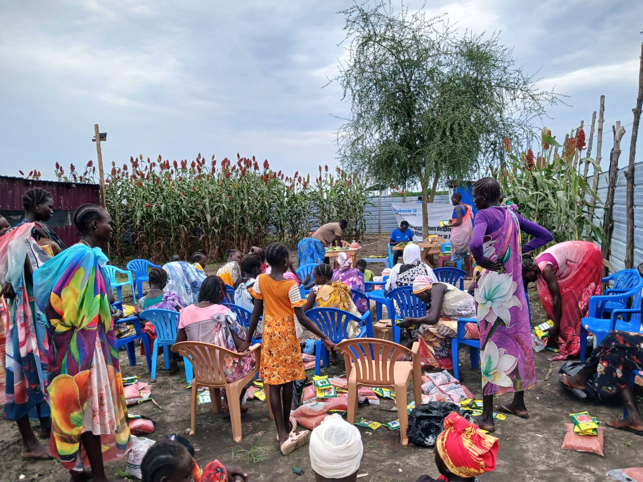 Assorted Seeds Distributed in Pibor